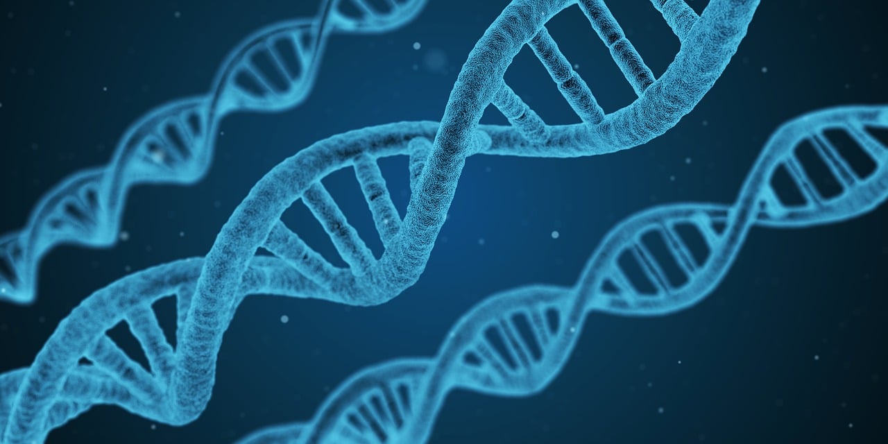 Emerging Biotech Sector: Investment Opportunities and Legal Framework